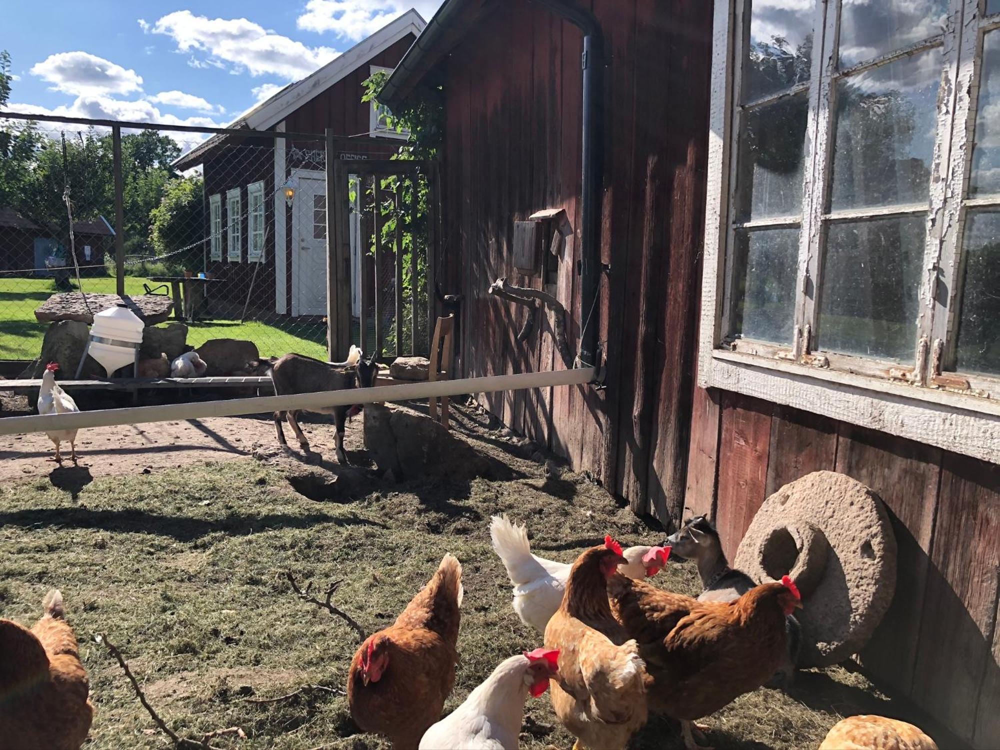 Aeventyrsgardens Vandrarhem, Kinnekulle Källby Exterior foto
